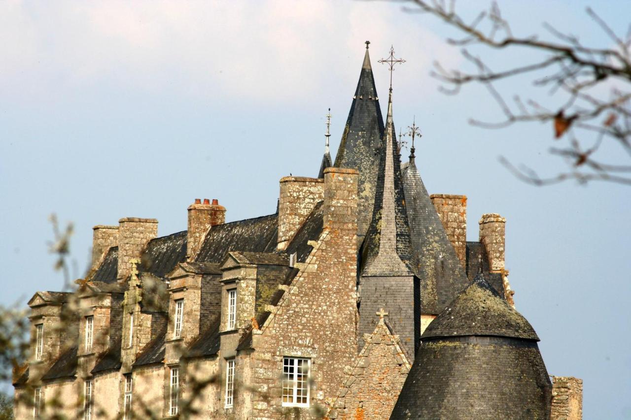 Chateau De Bourgon Montourtier Exterior photo